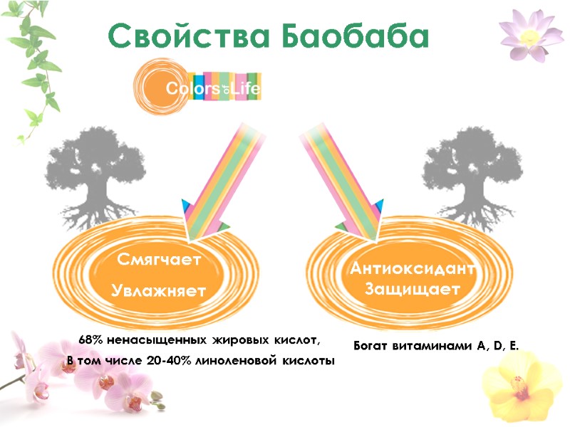 Смягчает Увлажняет Антиоксидант Защищает Богат витаминами A, D, E. 68% ненасыщенных жировых кислот, В